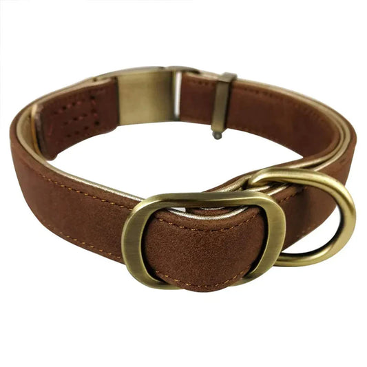 PetAffairs Premium Padded Leather Dog Collar