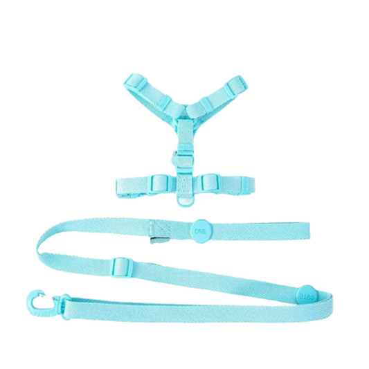 PetAffairs Adjustable Dog Harness and Leash Set