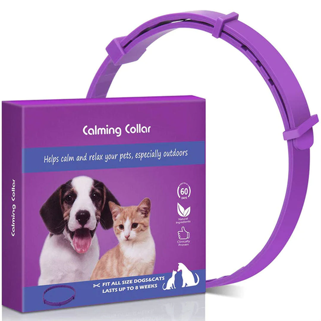 Promote Peaceful Moments with the Natural Calm Pet Calming Collar