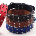 PetAffairs Fierce Spiked and Studded Leather Dog Collar