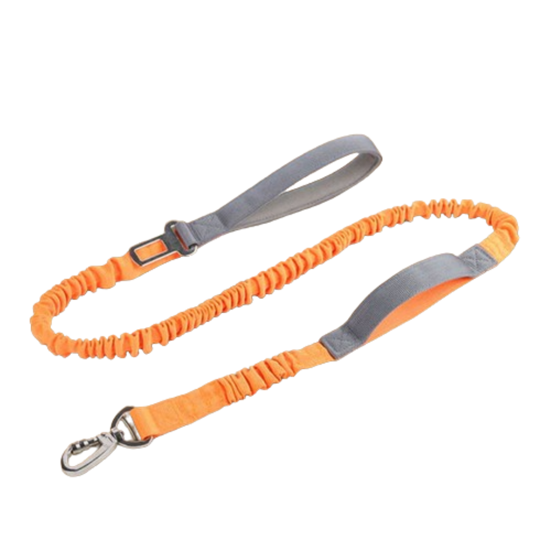 PetAffairs Reflective Jogging Dog Leash