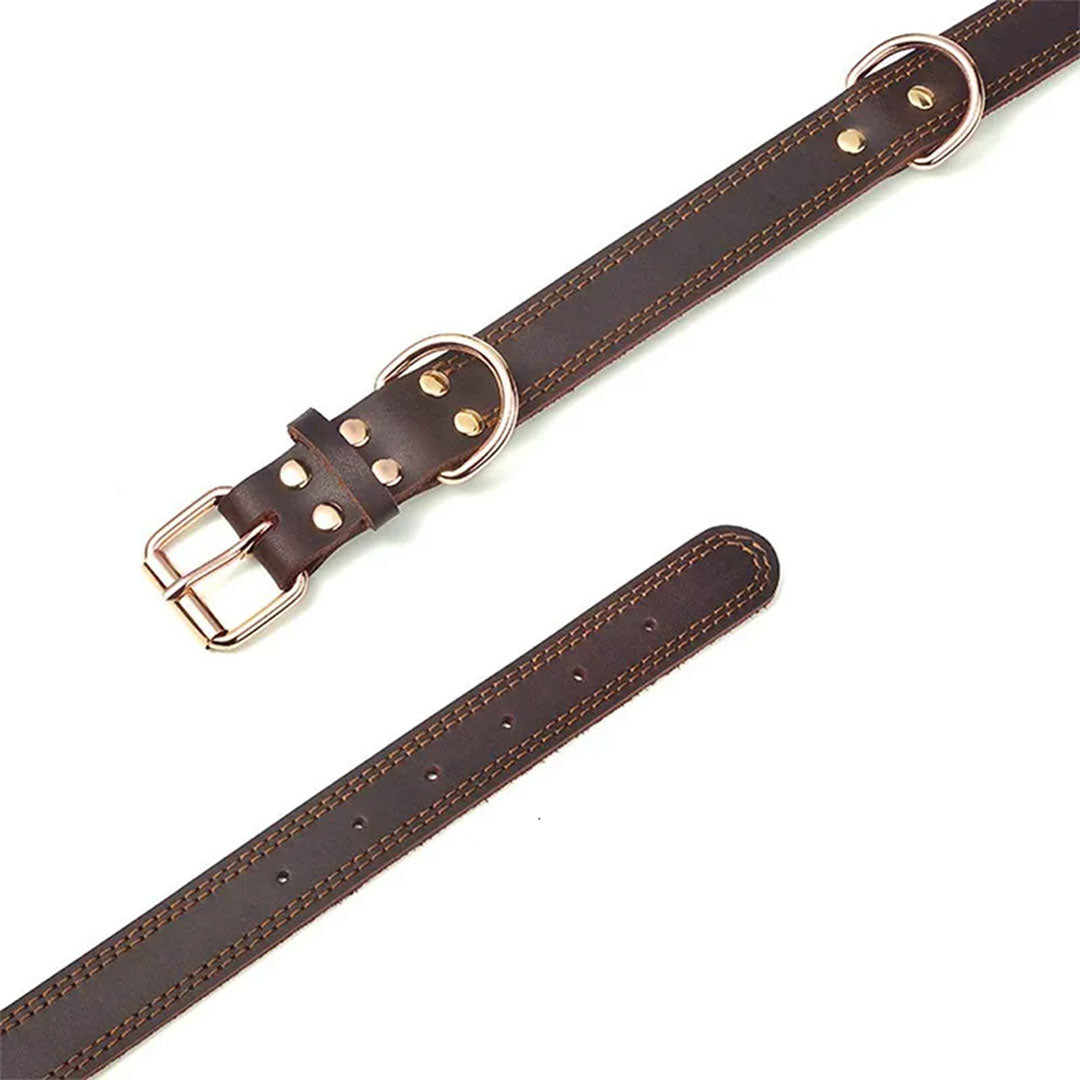 Stylish and Durable Leather Dog Collar with Personalized Engraving