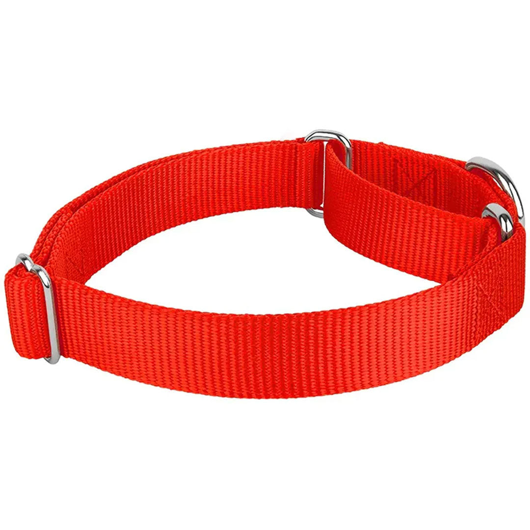 PetAffairs Nylon Dog Collar and Puppy Pet Collar For Small Large Dogs