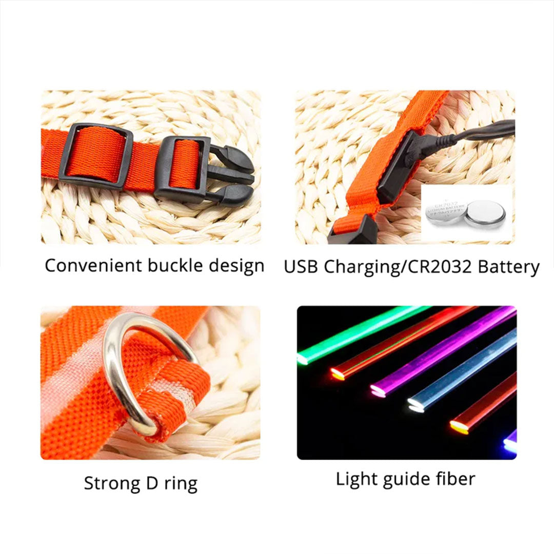 PetAffairs USB Rechargeable LED Dog Collar