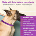 Promote Peaceful Moments with the Natural Calm Pet Calming Collar