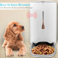 PetAffairs Smart Digital Feeder Automatic Pet Food Dispenser