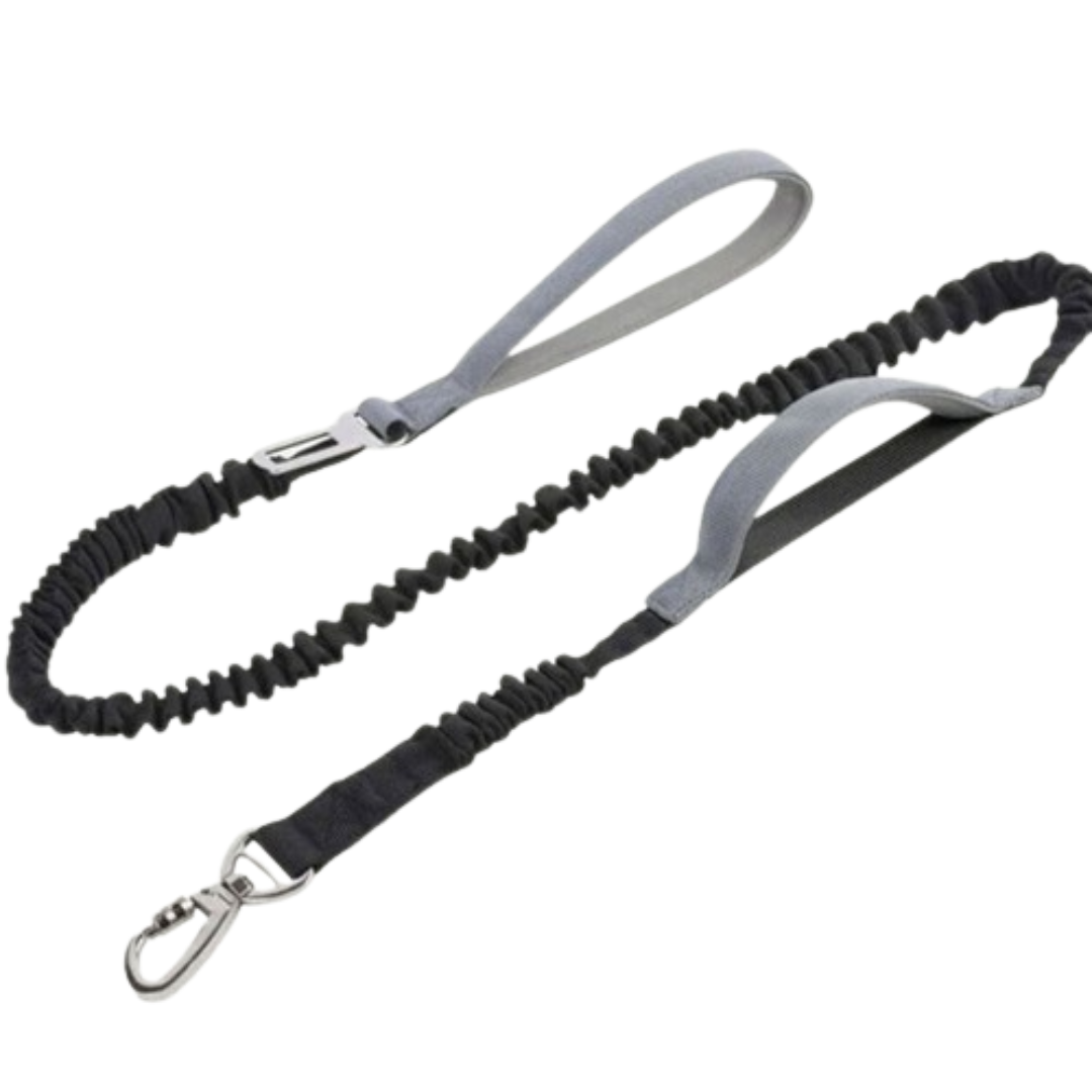 PetAffairs Reflective Jogging Dog Leash