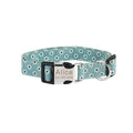 Customized Pet Collar and Leash Set with Engraved Nameplate ID