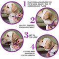 Promote Peaceful Moments with the Natural Calm Pet Calming Collar