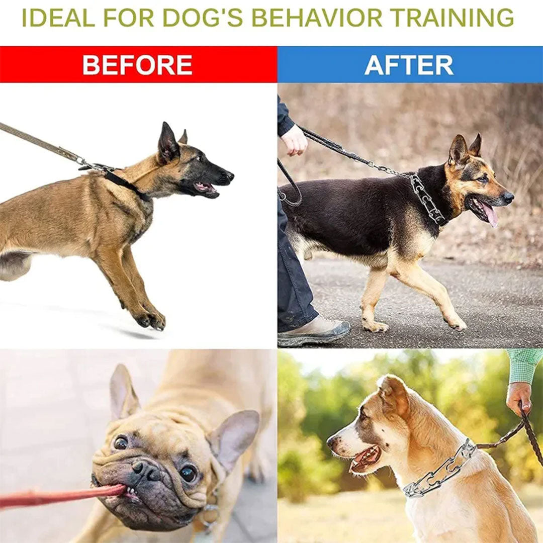 PetAffairs Precise Training with Super Dog Collar