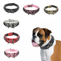 PetAffairs Fierce Spiked and Studded Leather Dog Collar