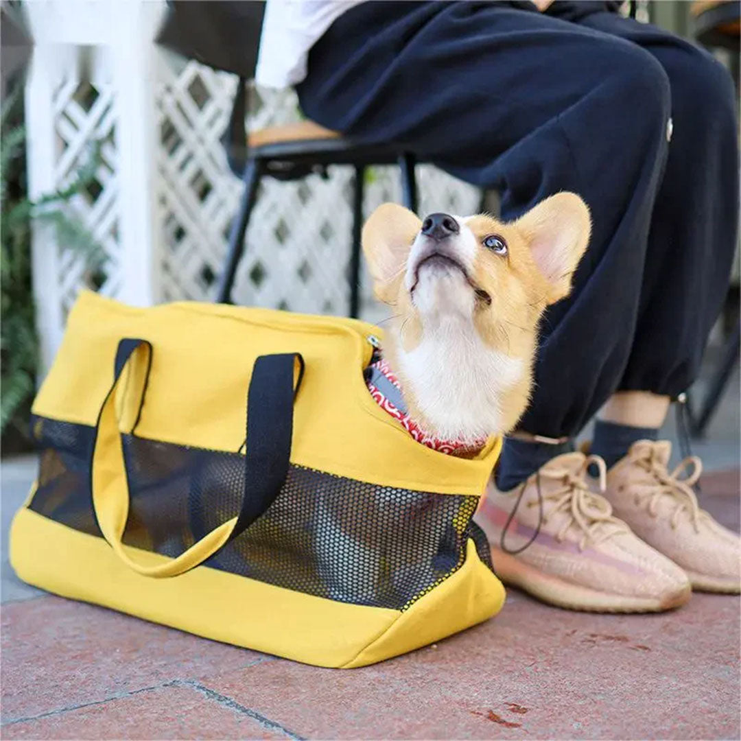 PetAffairs Canvas Pet Carrier Handbag