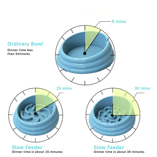 Small Nontoxic Slow Feeder Pet Bowl with Removable Design