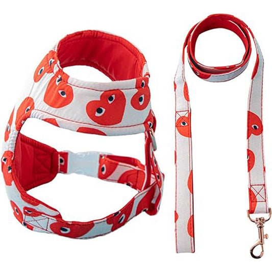 PetAffairs Luxury Dog Harness and Leash Set