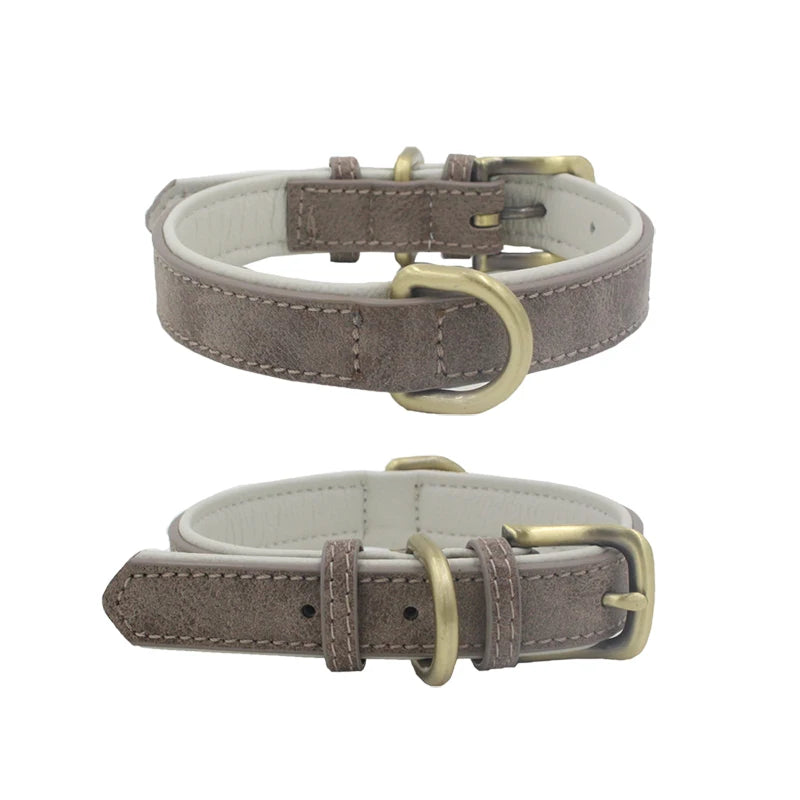 PetAffairs Timberwolf Leather Small Dog Collar