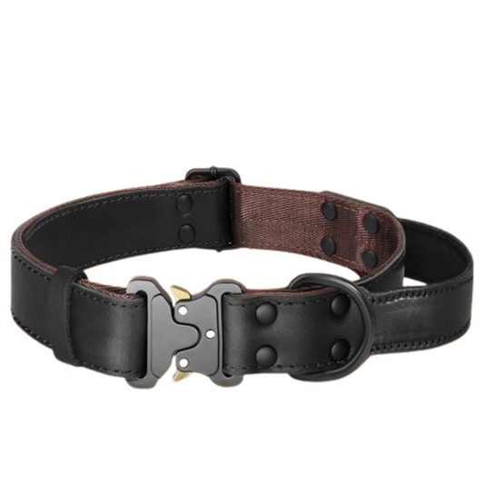 PetAffairs Soft Genuine Leather Dog Collar with Safe Buckle Handle