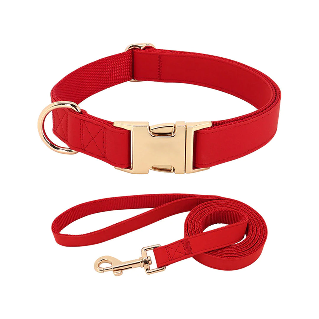 Leather Dog Collar & Leash Set for Your Cherished Pet