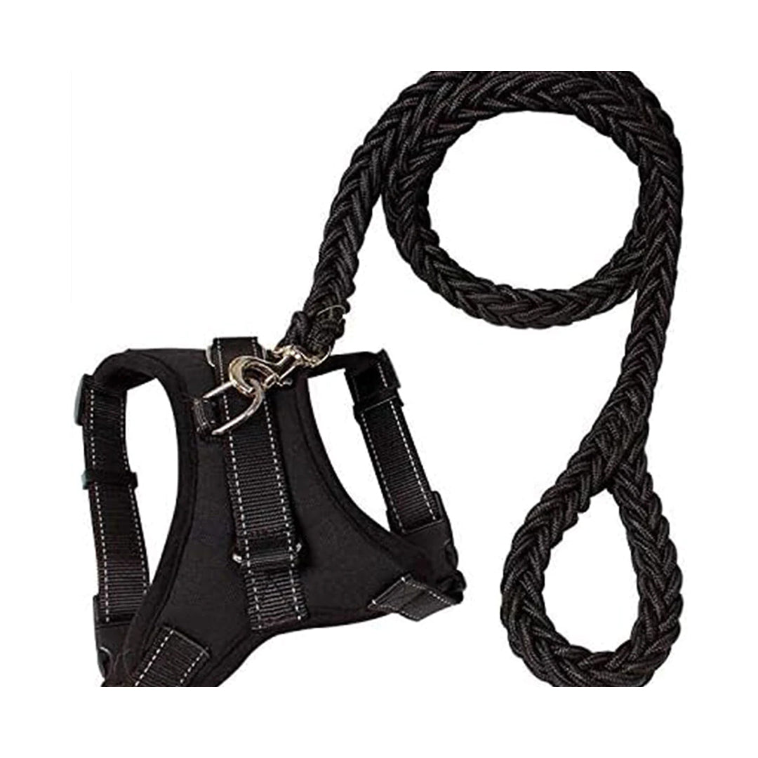 Reflective Dog Leash and Harness Set