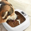 Stainless Steel Food and Water Heater Feeder Smart Pet Product